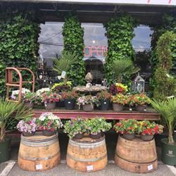 Homestead Nurseryland, Abbotsford, BC opening hours