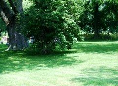 Louth United Church and Maple Lawn Cemetery, St. Catharines, ON opening hours