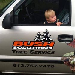 Bush Solutions Tree Service, Killaloe, ON opening hours