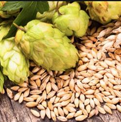 Kelowna Brew Supplies, opening hours