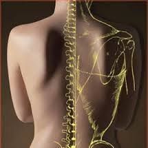 Prime Physiotherapy & Rehab, Toronto, ON opening hours