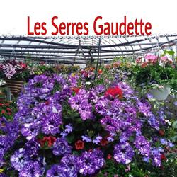 Les Serres Gaudette, Saint-Jude, QC opening hours