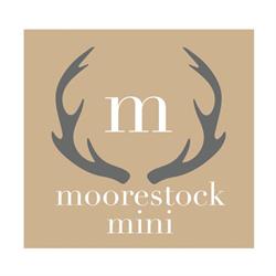 Moorestock Mini, Sechelt, BC opening hours