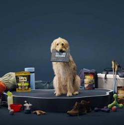 Pet Valu, Vegreville, AB opening hours
