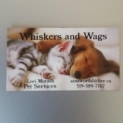 Whiskers and Wags, Kitchener, ON opening hours