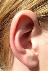 Harriston Hearing Care, opening hours