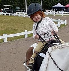 Collingwood Equestrian, Stayner, ON opening hours