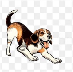 For Pet's Sake - Pet Food & Supplies, Squamish, BC opening hours