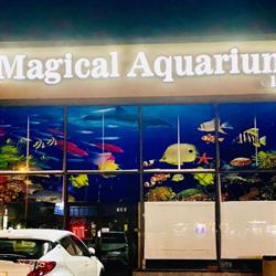 Magical Aquarium Wholesale Inc., Scarborough, ON opening hours