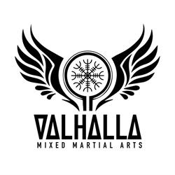 Valhalla MMA, Cambridge, ON opening hours