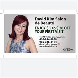 David Kim Salon de Beauté, Aurora, ON opening hours