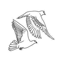 Two Doves Psychotherapy Services, St. Catharines, ON opening hours