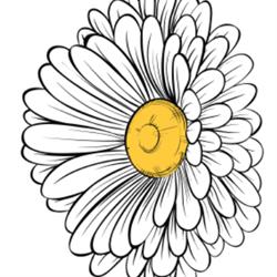 The Bloom Box, Berwick, NS opening hours
