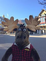 Cabin Fever Gifts, Whistler, BC opening hours