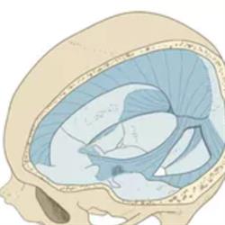 Norfolk Osteopathy, Guelph, ON opening hours