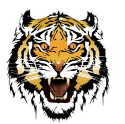 Tiger Grooming & Beauty Lounge, New Westminster, BC opening hours