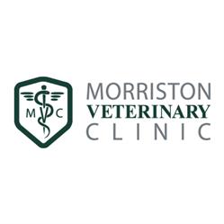 Morriston Veterinary Clinic, opening hours