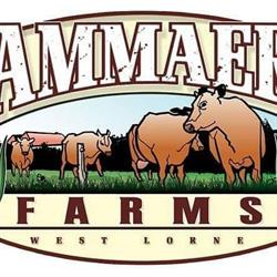 Cammaert Farms, West Lorne, ON opening hours