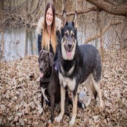 Bark Busters In Home Dog Training - Windsor & Chatham, opening hours