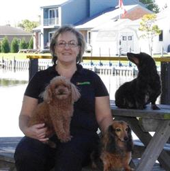 Bark Busters In Home Dog Training - London, opening hours