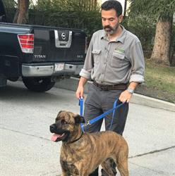 Bark Busters In Home Dog Training - Calgary, opening hours