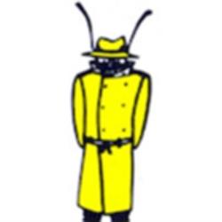 Chilliwack Pest Detective, opening hours