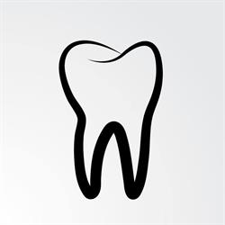 Hamilton Mountain Dental Group, opening hours