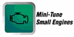Mini-Tune Small Engines, New Liskeard, ON opening hours