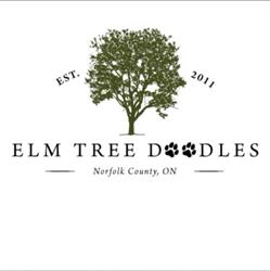 Elm Tree Doodles, Simcoe, ON opening hours