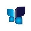Adelpha Technologies Inc, Toronto, ON opening hours