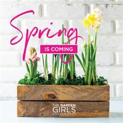 The Garden Girls, Mississauga, ON opening hours