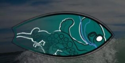 Surf Sicamous, opening hours