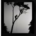 McGuire Tree Service, Amherstburg, ON opening hours