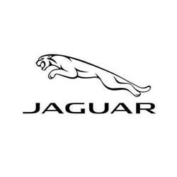 Jaguar Royal Oak, Calgary, AB opening hours