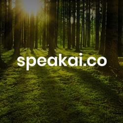 Speak Ai, London, ON opening hours