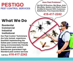 Pestigo Pest Control Toronto, East York, ON opening hours