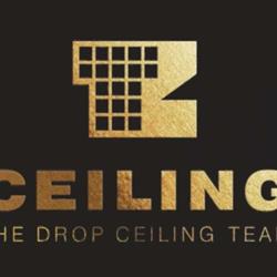 TZ Ceiling - Drop Ceiling Team, Woodbridge, ON opening hours