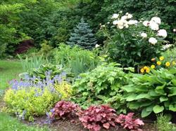 Down to Earth Gardening & Landscaping, Wolfville, NS opening hours