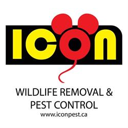 Icon pest control & wildlife removal in Richmond Hill, opening hours