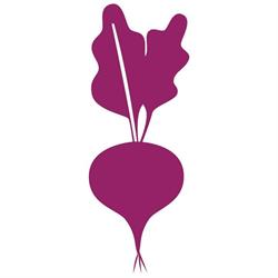 Dr Beetroot Canada Inc, St. Leon, MB opening hours