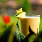 Herbalife Independent Distributor - Lily, Saint-Léonard, QC opening hours