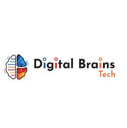 Digital Brains Tech - A Digital Marketing Company, Morden, MB opening hours