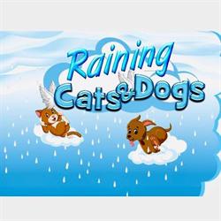 Raining Cats and Dogs Mobile Grooming, Hamilton, ON opening hours