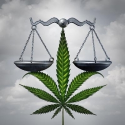 Same Day Ounce - Delivery Service, Langley, BC opening hours