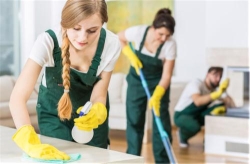 House Cleaning Langley, opening hours