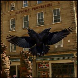 The Split Crow Pub, Halifax, NS opening hours