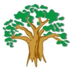 Enviro Clean, Windsor, ON opening hours