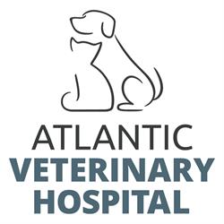 Atlantic Veterinary Hospital, Rothesay, NB opening hours