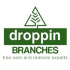 Droppin Branches Tree Care and Removal Experts, St. George Brant, ON opening hours