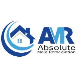Absolute Mold Remediation Ltd., Toronto, ON opening hours